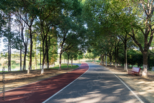 New pathway and beautiful trees track for running or walking and cycling relax in the park