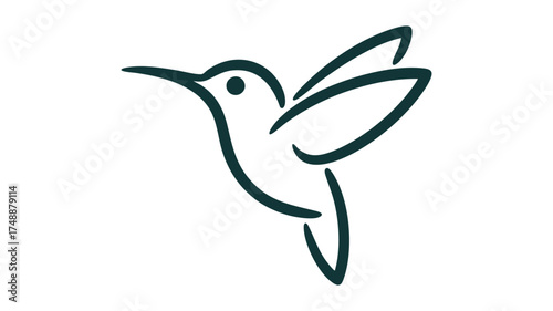 Elegant hummingbird outline simple bird design icon graphic symbol art