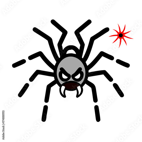 Angry Tarantula Spider