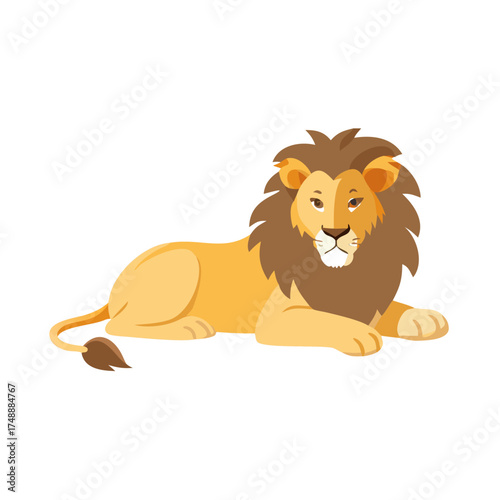 African Male Lion Lying Down
