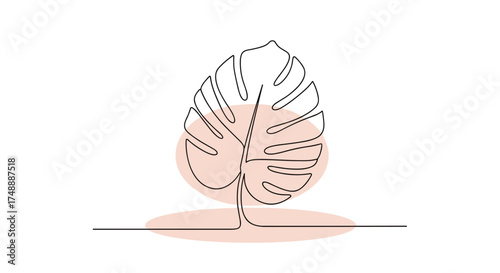 A minimalist illustration of a monstera leaf with soft blush circles on a white background.