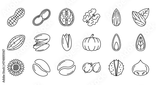 Nuts and seeds line icon set. Healthy food collection. Peanut, walnut, almond, pistachio, cocoa, coffee bean, chickpea, chestnut, sunflower and pumpkin seeds vector icons.