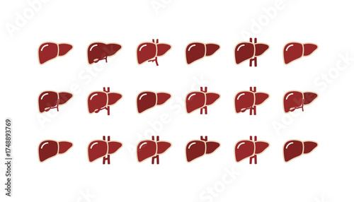 Human liver icon vector set. Medical anatomy symbol collection. Healthy internal organ for hepatology design. Digestion, cirrhosis, disease concepts. Biology flat illustration.