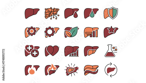 Liver icon vector set. Human organ anatomy. Medical infographic elements. Health care diagnosis. Hepatitis, cirrhosis, fatty liver disease. Detox, regeneration, treatment concept.