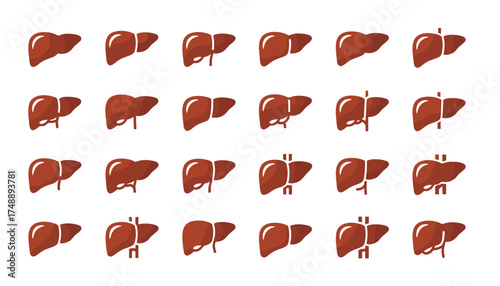 Human liver vector icon set. Medical anatomy symbol for health care, digestion, cirrhosis, hepatitis. Hepatic internal organ, gallbladder, bile duct flat illustrations isolated.