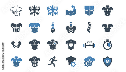 Male body anatomy icon set. Man torso, abs, muscles, chest. Health, fitness, sport. Skeleton, ribs, spine, pelvis bones. Gym workout, bodybuilding, running. Heart, gear, shield.