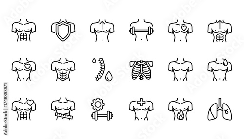Male torso health and fitness line icon set. Vector icons of man's body showing muscle, abs, gym workout, anatomy like lungs, spine, rib cage, and concepts of metabolism.