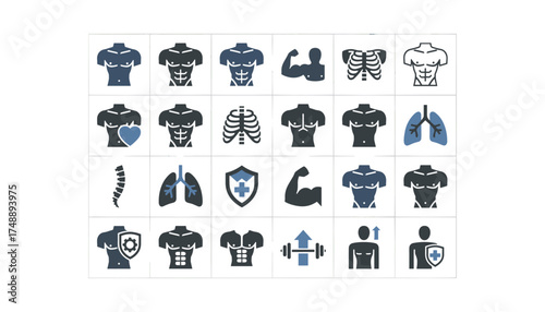 Male body health and fitness vector icon set. Man torso, abs, muscles, chest anatomy. Symbols for strength, workout, gym. Medical icons of heart, lungs, spine, and protection.