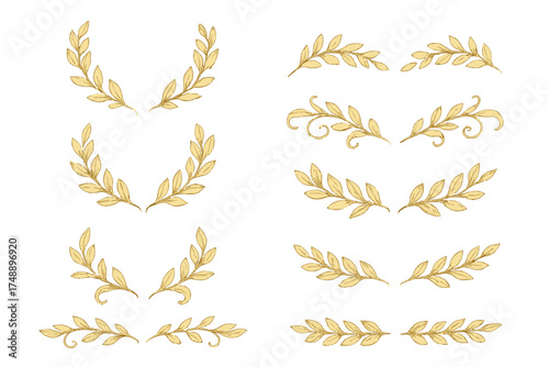 Golden laurel wreaths and branches collection. Hand drawn vintage vector dividers. Floral ornament set for award certificate. Elegant gold leaves, swirls for wedding invitation.