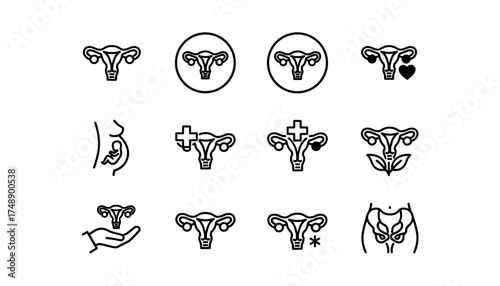 Uterus icon set vector glyphs. Gynecology, pregnancy, fertility concept. Female reproductive system, women's health, obstetrics, anatomy and medical care symbols for wellness.