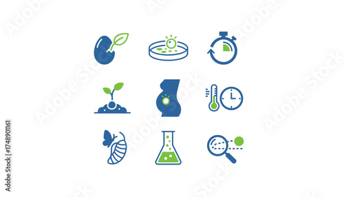 Vector icon set of incubation period and life cycle. Includes germination, pregnancy, metamorphosis, and scientific research. Biology, development, and growth concept symbols.