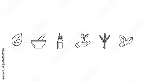 Herbal medicine line icon set. Natural remedies, alternative homeopathy, and phytotherapy concept. Vector icons of organic supplements, wellness, leaf, mortar, pestle, and capsule.