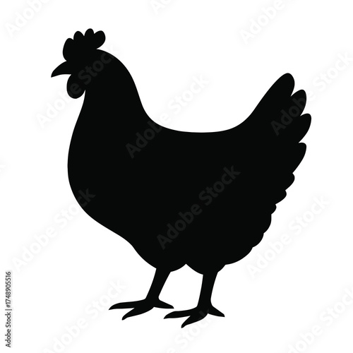 Flat 2D vector illustration of chicken silhouette, side view standing black shape, minimal design isolated on white background, simple art for farm, poultry, or food icon use.