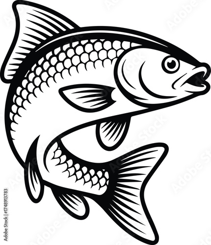 Stylized Carp Fish Swimming Black and White Illustration for Fishing, Angling, or Restaurant Designs