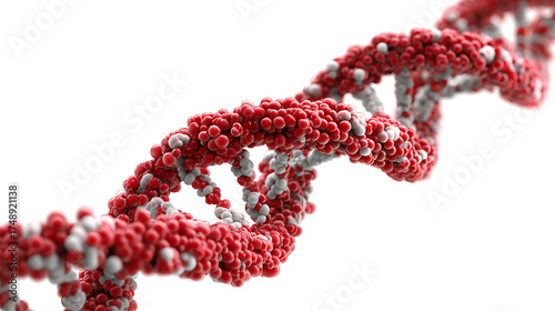 Red DNA double helix model with spherical bead nucleotides twisting through white space. in red hue!