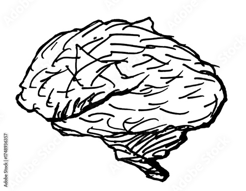 Wallpaper Mural Black and white hand drawn sketch of a brain. Isolated background. Torontodigital.ca