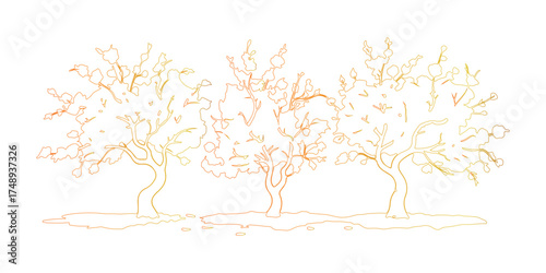 Autumnal Grove Outline Three Trees Gradient Coloration Isolated on White Background Vector