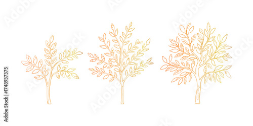 Autumnal Sprout Outline Three Trees Gradient Coloration Isolated on White Background Vector