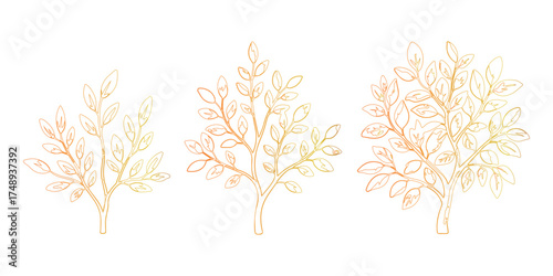 Autumnal Sapling Outline Three Trees Gradient Coloration Isolated on White Background Vector