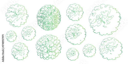 Botanical Garden Layout Greenery Plan Top View Trees Arrangement Isolated on White Backdrop