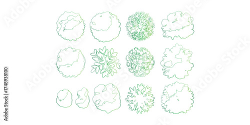 Green Tree Canopy: Overhead View Outlines for Site Plans and Landscape Architecture