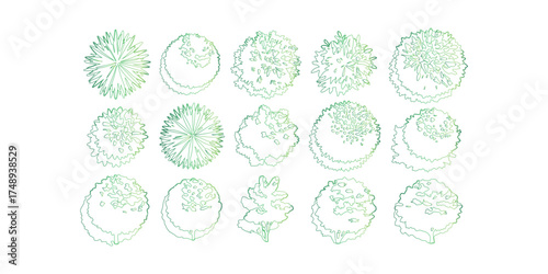 Top View Green Tree Outline Drawings on White Background for Landscape Architecture