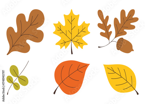 Colorful Autumn Leaves Vector Illustration with Oak Maple and Acorn Design on White Background