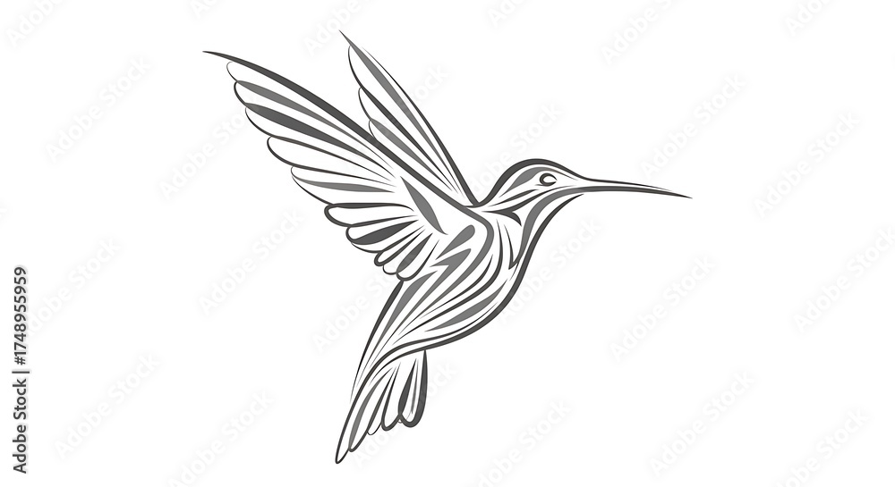 Obraz premium Hummingbird in flight, a beautiful and elegant bird, isolated on white background