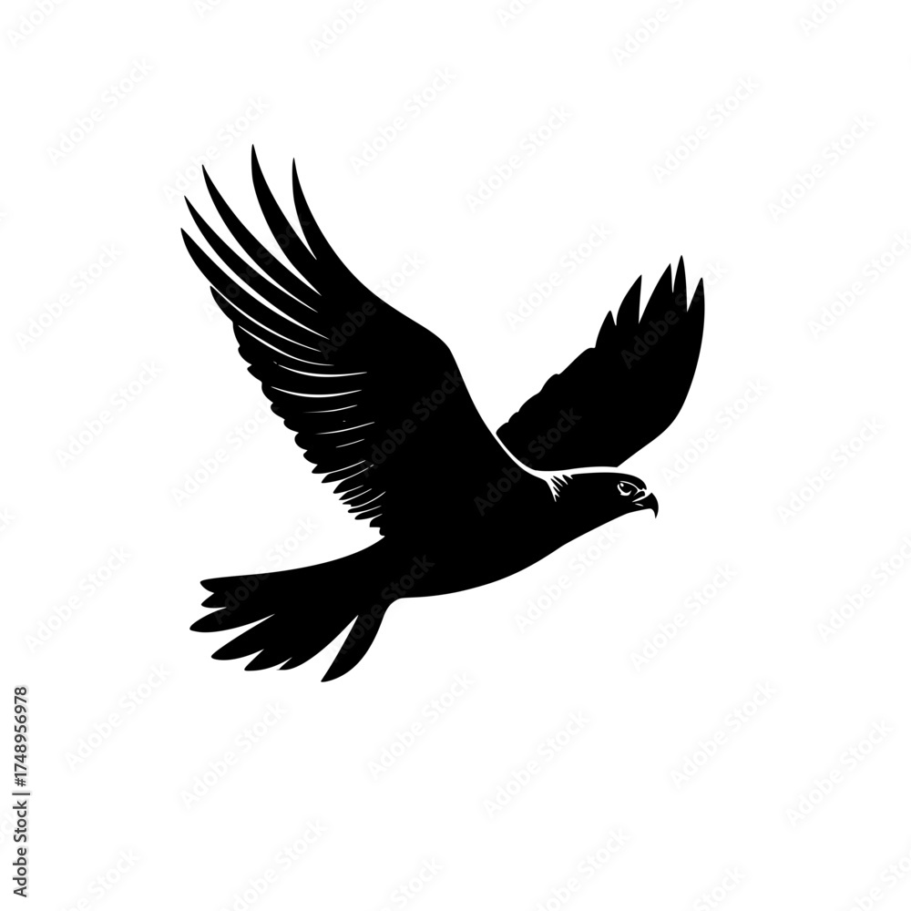Obraz premium Black Bird Silhouette Flight White Background