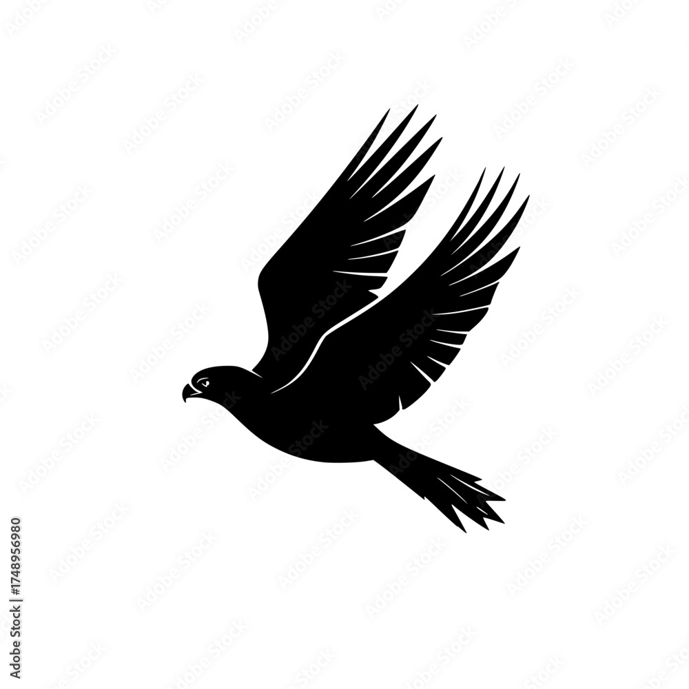 Fototapeta premium Silhouette Bird Flight with Outstretched Wings