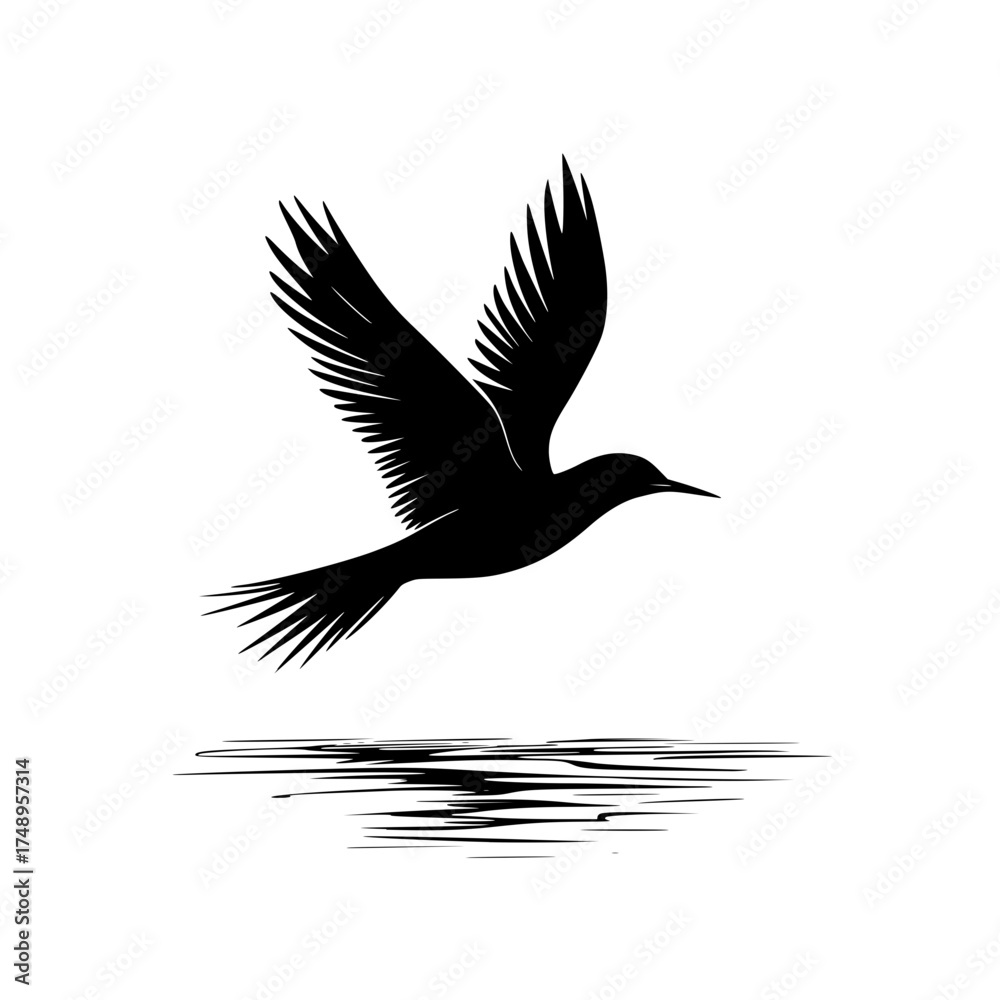 Fototapeta premium Silhouette Bird Flight Over Water Surface