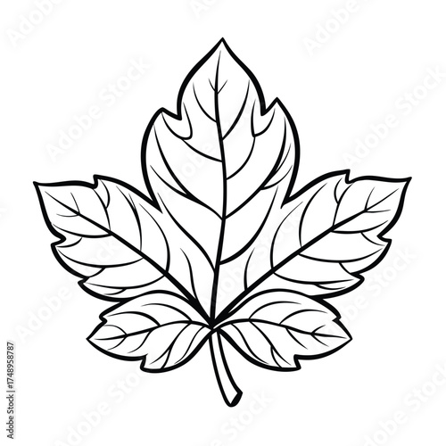 Intricate Close-Up Coloring Page Featuring a Variety of Leaves
