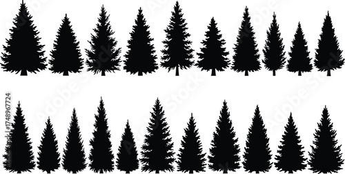  Pine and spruce tree silhouette collection, evergreen forest vector illustration, black conifer tree design elements for nature, winter landscape, and woodland decoration artwork