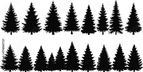  Pine tree silhouette collection, black vector illustration of evergreen conifer trees, natural forest design elements for winter landscape, outdoor nature and mountain scenery
