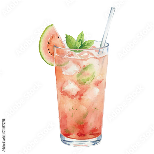 Watercolor guava cocktail with mint and ice cubes, refreshing tropical summer drink in tall glass vector illustration
