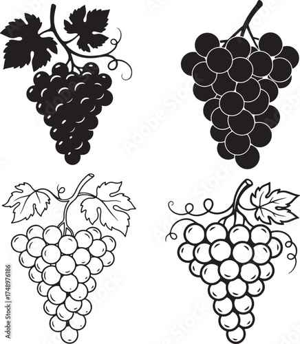 Black and White Grape Vector Illustrations – Vineyard Fruit Line Art Icons