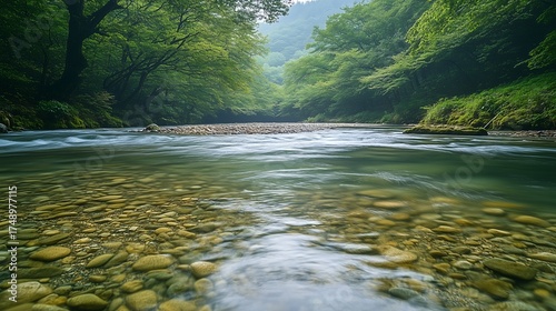 Peaceful River in Japan with Green Trees and Rocks, Clear Water Flowing Gently with Sunlight Ripples  