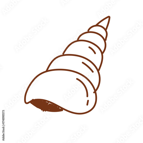 Doodle Illustration of Auger Shell