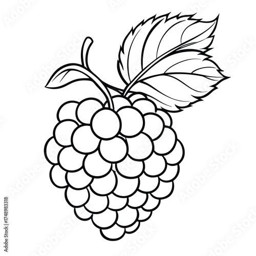 Intricate Coloring Page Depicting a Blackberry Vine with Berries