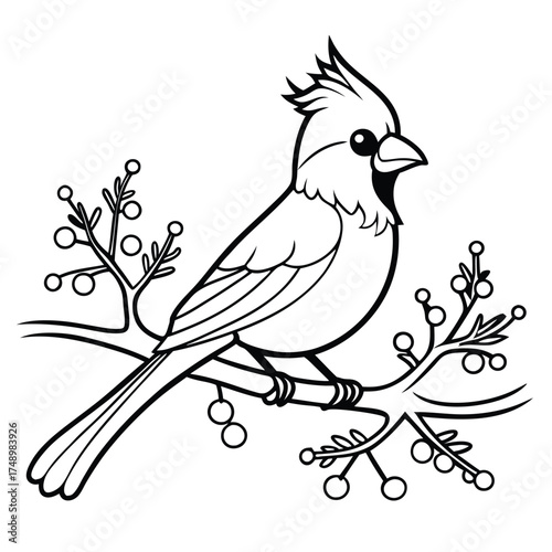Coloring Page Depicting a Cardinal Perched on a Snowy Branch