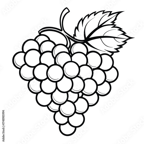 Coloring Page: Grapes in a Bunch, Intricate Design with Stems and Leaves
