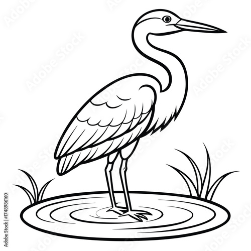 Majestic Heron Standing Still in Calm Shallow Waters for Coloring Enthusiasts