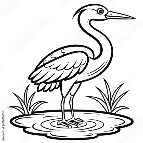 Majestic Heron Standing Still in Shallow Water