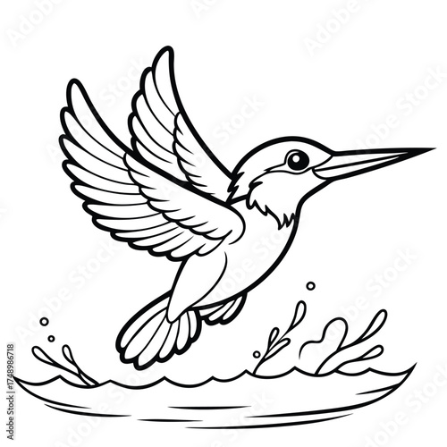 Kingfisher's Daring Dive into the Water for a Meal