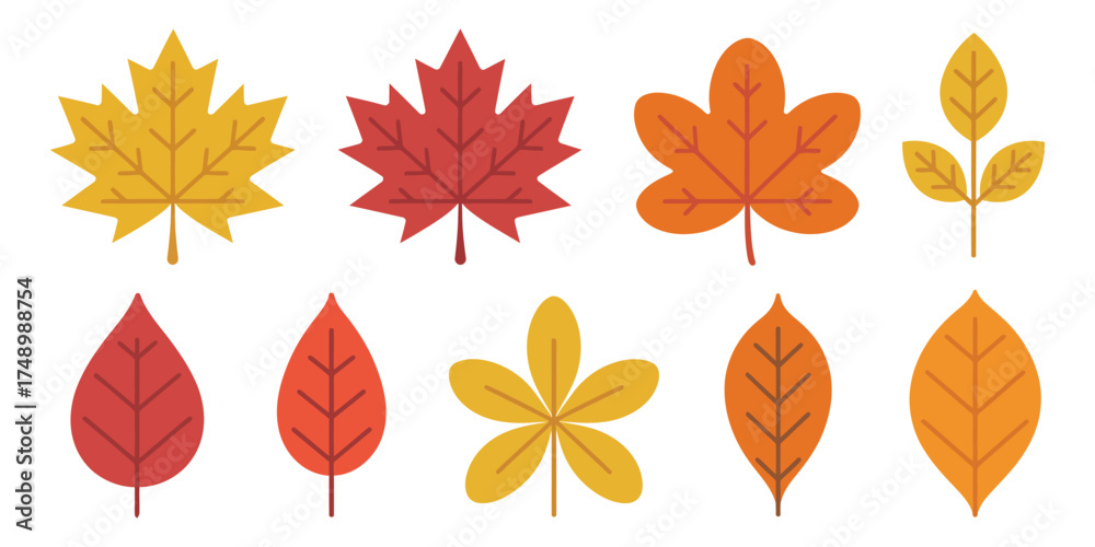Obraz premium Autumn foliage vector collection with colorful leaves in multiple shapes and shades isolated background perfect for fall design seasonal poster and sticker