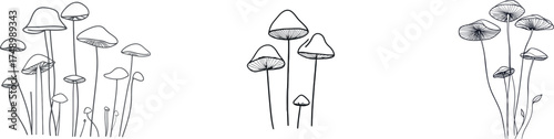 The concept of nature food is illustrated by a mushroom line drawing in a single continuous outline