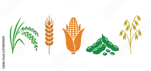 Color outline icons representing different grains and seeds, such as rice, wheat, corn, soybeans, and oats

