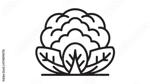 Simple line drawing of a cauliflower with leaves, representing fresh produce and healthy eating.