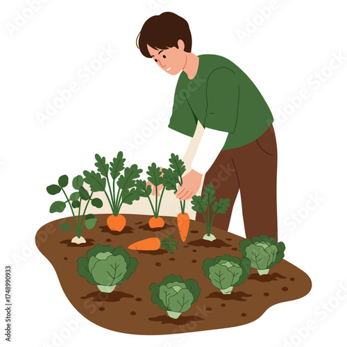 Man tending to a vegetable garden with carrots and cabbages.