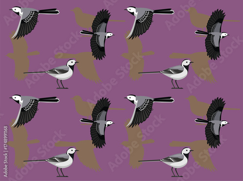 Bird White Wagtail Cute Cartoon Character Seamless Wallpaper Background